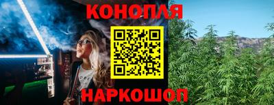 индика Аша