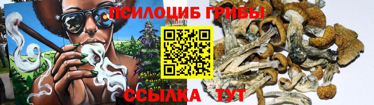 Галлюциногенные грибы Magic Shrooms  Галлюциногенные грибы мухоморы  Грозный  наркошоп  Вход с VPN 