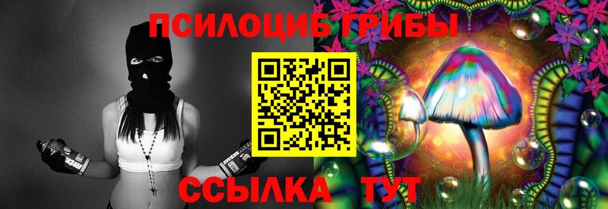 Псилоцибиновые грибы Psilocybine cubensis Грозный