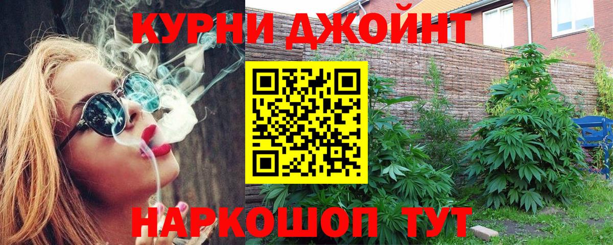 Бошки марихуана White Widow  Вход с VPN  Канабис MAZAR  Грозный  Канабис план  МАРИХУАНА VHQ 